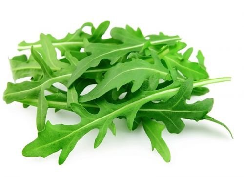 150 Seeds Roquette Arugula Diplotaxis tenuifolia Herb  #IEB54