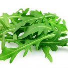 150 Seeds Roquette Arugula Diplotaxis tenuifolia Herb  #IEB54