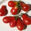 30 vegetable seeds Red Pear Tomato   #IEB54