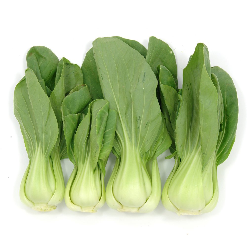 50 seeds Green Pak Bok Choi Choy    #IEB59