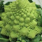 1 Gram Vegetable Seeds Romanesco Broccoli , easy to grow      #IEB60
