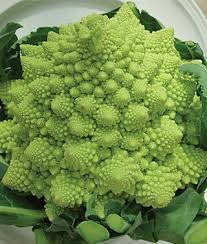 1 Gram Vegetable Seeds Romanesco Broccoli , easy to grow      #IEB60