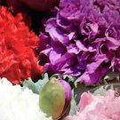 1 Gram Flower Seeds Poppy Double Mixed Packet White Red Pink Purple White Peony    #IEB60