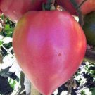 225 vegetable seeds Oxheart Pink Tomato, fast growing       #SCTN65