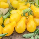 300 vegetable seeds Yellow Pear Tomato , Very Sweet Tomatoes #SCTN65