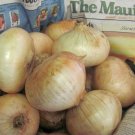 500 vegetable seeds Maui Sweet Onion, easy to grow     #SCTN65