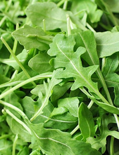 2000 vegetable seeds Arugula Roquette, easy to grow   #SCTN65