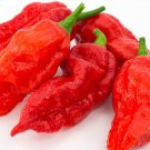 50 vegetable seeds Ghost Pepper   Heirloom   Bhut Jolokia   #SCTN65