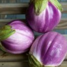 150 vegetable seeds Rosa Bianca Eggplant, easy to grow   #SCTN65