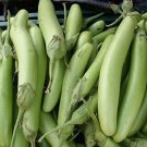 150 vegetable seeds Louisiana Long Green Eggplant, fast growing   #SCTN65