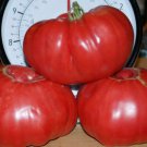 100 vegetable seeds Brandywine Red Tomato, easy to grow  #SCTN65