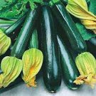 20 vegetable seeds Dark Green Zucchini Squash        #TRSE66