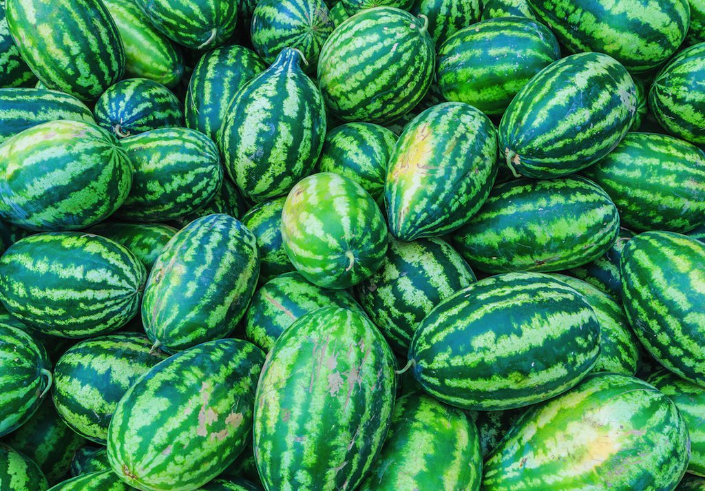 25 Fruit seeds Congo Watermelon, fast growing       #TRSE66