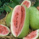 Watermelon Charleston Grey 30  Seeds   #TRSE66