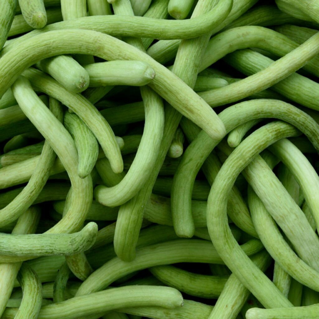 25 vegetable seeds Dark Armenian Long Snake Serpent Cucumber   #TRSE66