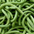 25 vegetable seeds Dark Armenian Long Snake Serpent Cucumber   #TRSE66