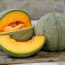 25 fruit seeds Hearts Of Gold Cantaloupe Melon        #TRSE66