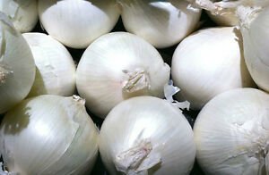 100 vegetable seeds Onion White Sweet Spanish Mild       #TRSE66