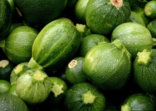 25 vegetable seeds Boston Pickling Cucumber, easy to grow    #TRSE66