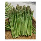 100 vegetable seeds Asparagus Mary Washington  #ECHG69