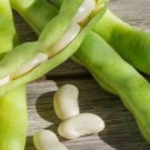 100 vegetable seeds  Heirloom Sugar Snap Peas, easy to grow       #ECHG69