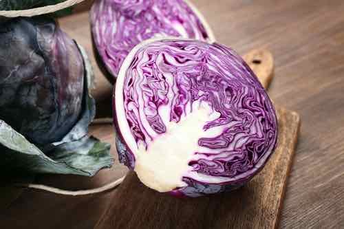 500 vegetable seeds Red Rock Mammoth Cabbage    #ECHG69