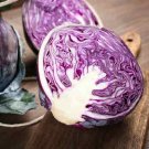 500 vegetable seeds Red Rock Mammoth Cabbage    #ECHG69