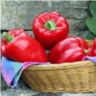 50 vegetable seeds  Sweet Big Red Pepper         #ECHG69