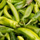 20 vegetable seeds Anaheim Chili Pepper    #JBSE70