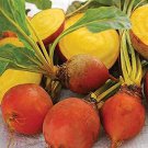 100 vegetable seeds Golden Detroit Beet    #JBSE70