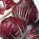 100 vegetable seeds Radicchio  Rouge De Verona, easy to grow    #JBSE70
