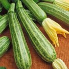 20 vegetable seeds Italian Striped Zucchin, easy to grow     #JBSE70