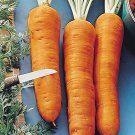 100 vegetable seeds Giant Carrot, fast growing    #JBSE70