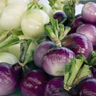 100 seeds Purple Onion , easy to grow   #JBSE70