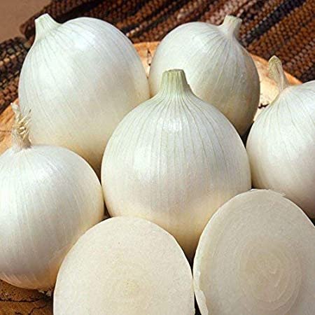 100 vegetable seeds White Sweet Spanish Onion, easy to grow     #JBSE70