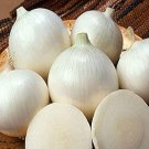 100 vegetable seeds White Sweet Spanish Onion, easy to grow     #JBSE70