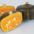 10 fruit seeds Buttercup Squash, easy to grow  #JBSE70