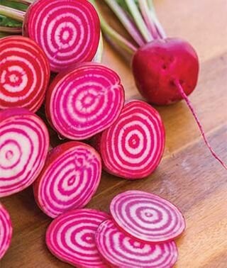 50 vegetable seeds Candy Cane Beet Heirloom  	     #JBSE70