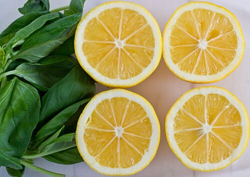 100 vegetable seeds Lemon Basil Fragrance     #JBSE70