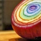 300 seeds Romanian Rainbow Onion Bulk, easy to grow   #JBSE70
