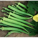 50 vegetable seeds Long Green Pod Okra  #TSPE72