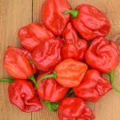 Red Habanero Red Pepper Seeds, 50 vegtable seeds  #TSPE72