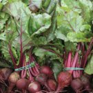 50 vegetable seeds Early Wonder Beet, easy to grow   #TSPE72