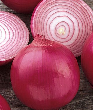 150 vegetable seeds Red Creole Onion, easy to grow     #TSPE72