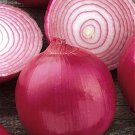 150 vegetable seeds Red Creole Onion, easy to grow     #TSPE72