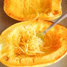 10 vegetable seeds Spaghetti Squash, easy to grow       #TSPE72