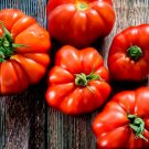 Red Marmande Tomato, 50 vegetable seed  #DVDS73