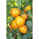 50 vegetable seeds Golden Jubilee Tomato  #DVDS73