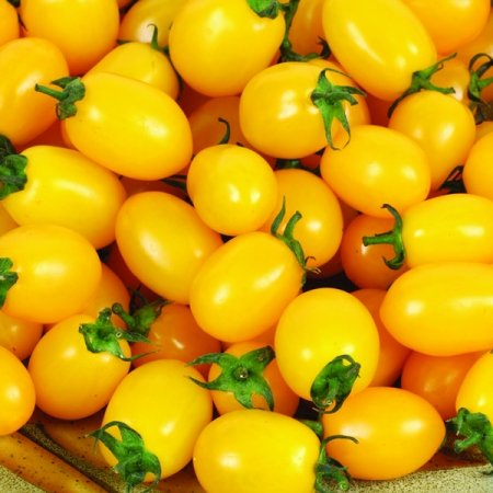 50 vegetable seeds Yellow Plum Tomato, fast growing #DVDS73