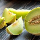 50 fresh fruit seeds Honeydew Melon, ready to plant   #DVDS73